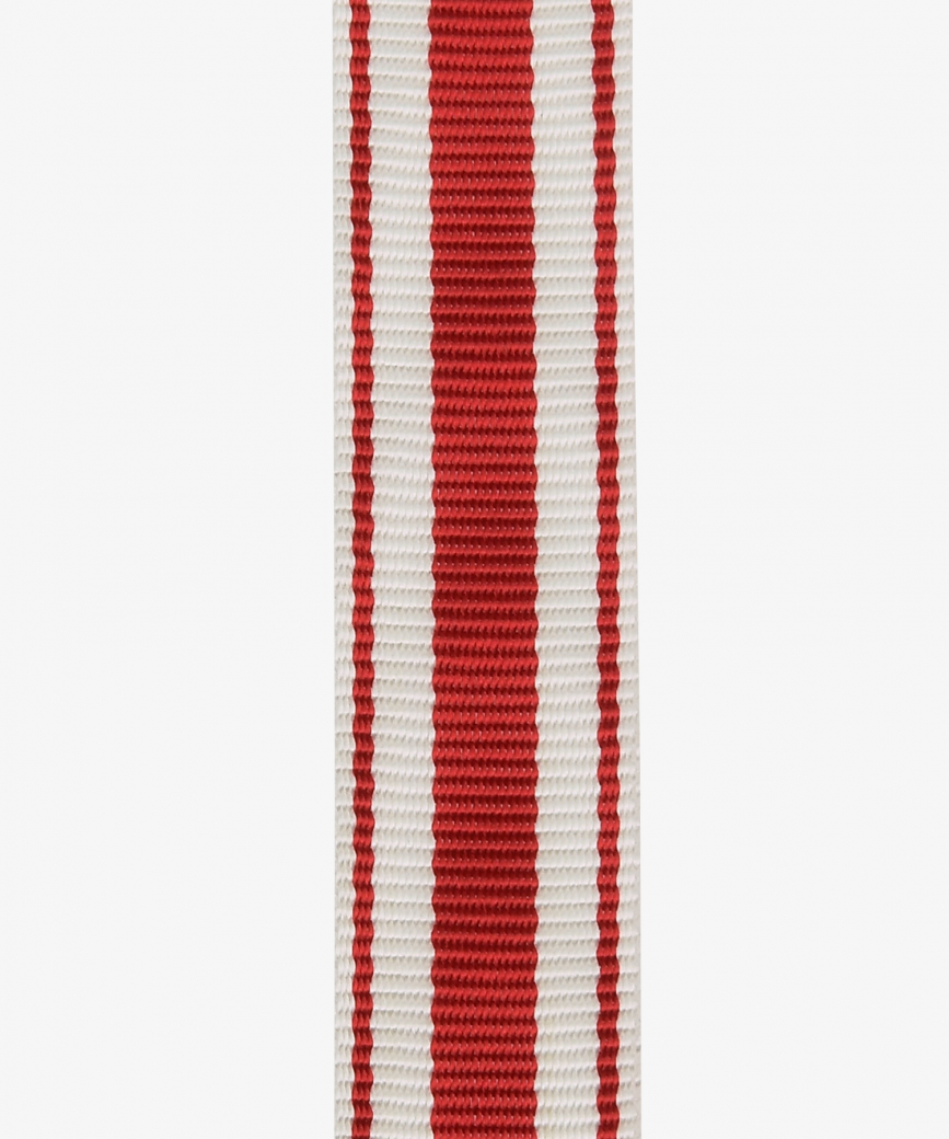 Fire Brigade Badge of Honor of the Thuringian Fire Brigade Association 1920, Miniatur (350)